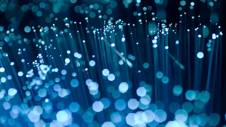 Header Mandatory Disclosures