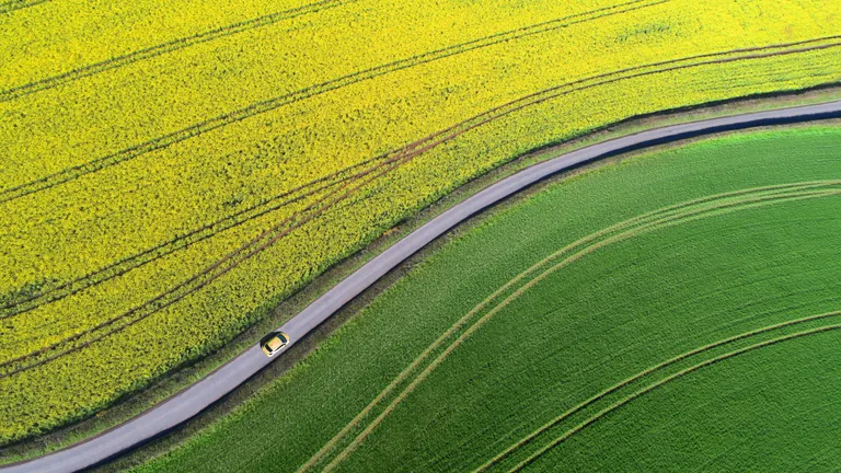 OMV_FF_Biofuel_Car-Driving-Rapefield-02